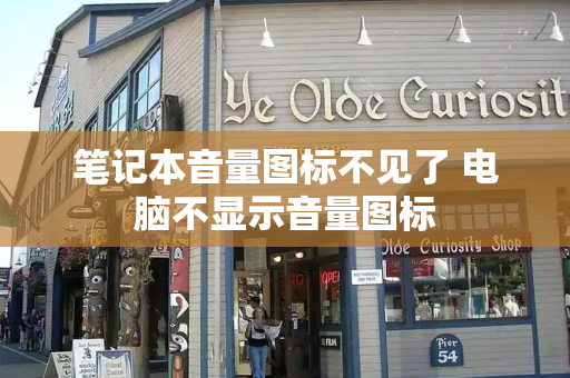 笔记本音量图标不见了 电脑不显示音量图标