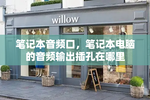 笔记本音频口，笔记本电脑的音频输出插孔在哪里