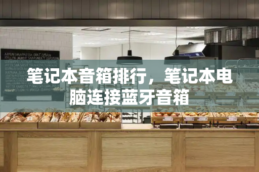 笔记本音箱排行，笔记本电脑连接蓝牙音箱-第1张图片-星选测评