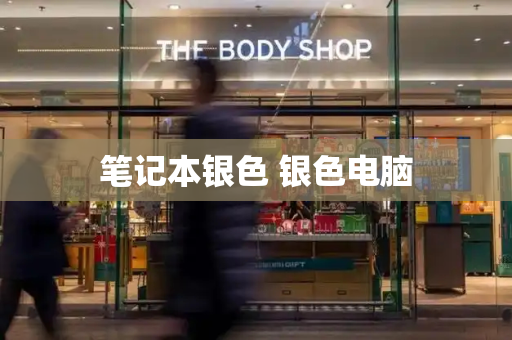 笔记本银色 银色电脑-第1张图片-星选测评