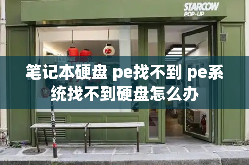 笔记本硬盘 pe找不到 pe系统找不到硬盘怎么办