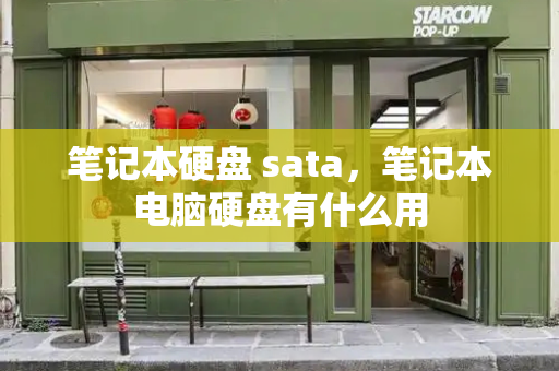 笔记本硬盘 sata，笔记本电脑硬盘有什么用-第1张图片-星选测评