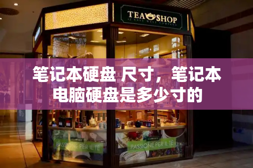 笔记本硬盘 尺寸，笔记本电脑硬盘是多少寸的-第1张图片-星选测评