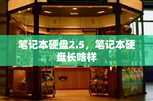 笔记本硬盘2.5，笔记本硬盘长啥样-第1张图片-星选测评
