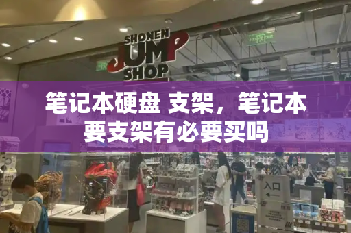 笔记本硬盘 支架，笔记本要支架有必要买吗