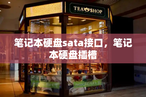 笔记本硬盘sata接口，笔记本硬盘插槽