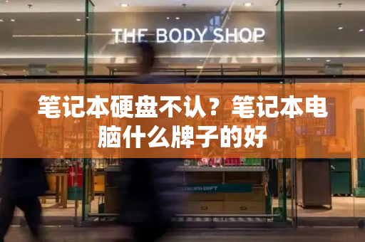 笔记本硬盘不认？笔记本电脑什么牌子的好
