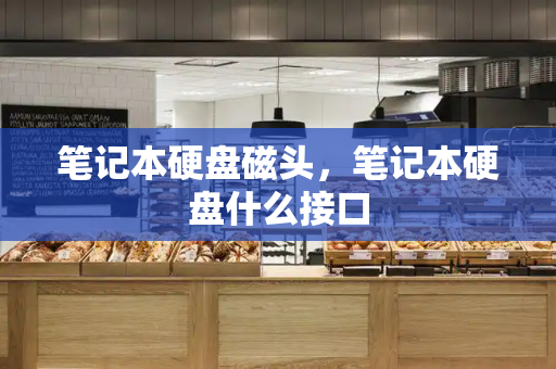 笔记本硬盘磁头，笔记本硬盘什么接口