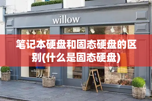 笔记本硬盘和固态硬盘的区别(什么是固态硬盘)-第1张图片-星选测评
