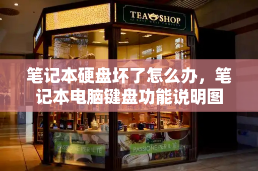 笔记本硬盘坏了怎么办，笔记本电脑键盘功能说明图-第1张图片-星选测评