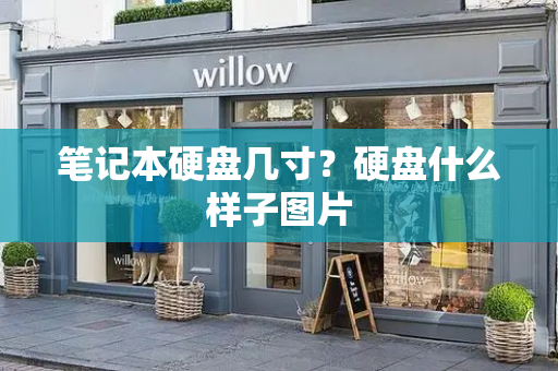 笔记本硬盘几寸？硬盘什么样子图片