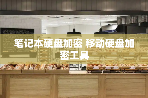 笔记本硬盘加密 移动硬盘加密工具-第1张图片-星选测评