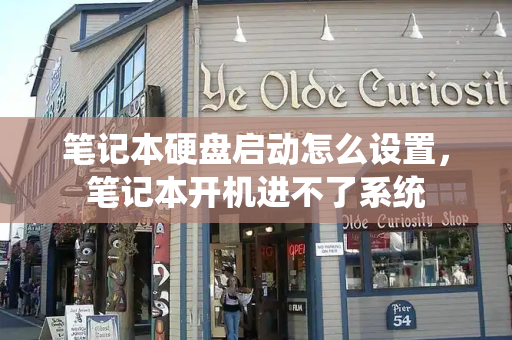 笔记本硬盘启动怎么设置，笔记本开机进不了系统