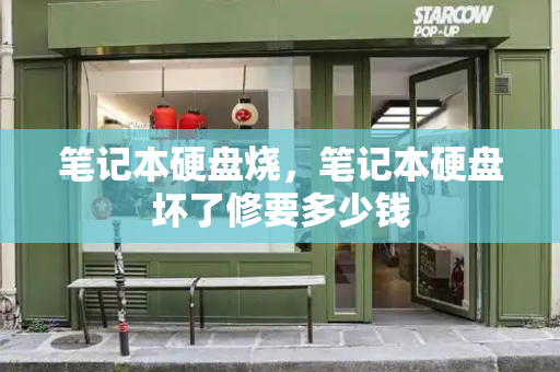 笔记本硬盘烧，笔记本硬盘坏了修要多少钱-第1张图片-星选测评