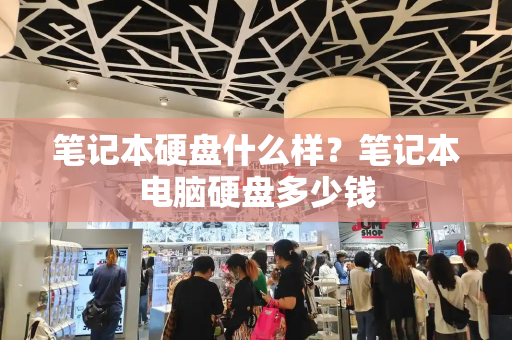 笔记本硬盘什么样？笔记本电脑硬盘多少钱-第1张图片-星选测评