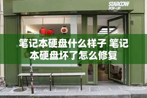 笔记本硬盘什么样子 笔记本硬盘坏了怎么修复-第1张图片-星选测评