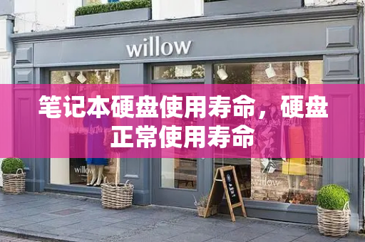 笔记本硬盘使用寿命，硬盘正常使用寿命-第1张图片-星选测评