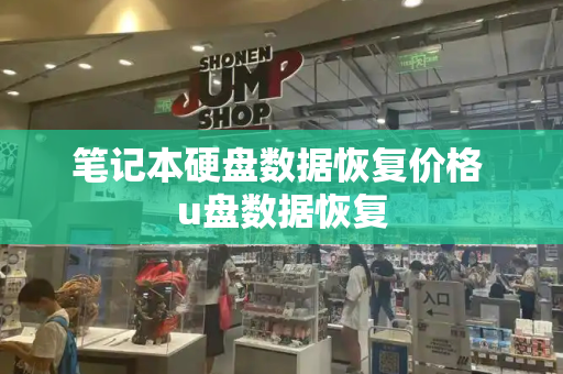 笔记本硬盘数据恢复价格 u盘数据恢复
