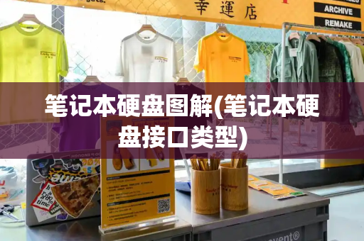 笔记本硬盘图解(笔记本硬盘接口类型)-第1张图片-星选测评