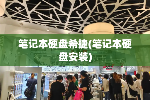笔记本硬盘希捷(笔记本硬盘安装)