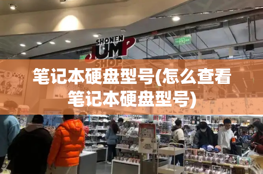 笔记本硬盘型号(怎么查看笔记本硬盘型号)