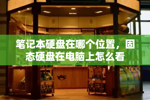 笔记本硬盘在哪个位置，固态硬盘在电脑上怎么看-第1张图片-星选测评