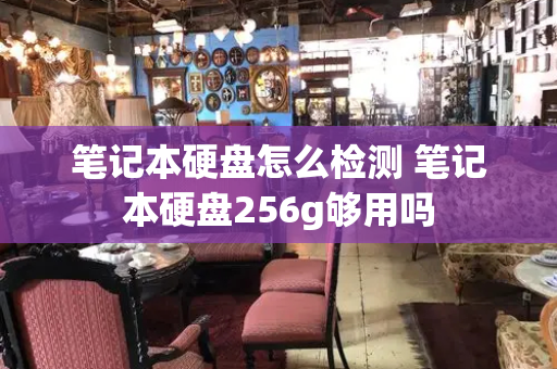 笔记本硬盘怎么检测 笔记本硬盘256g够用吗