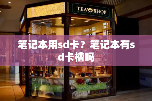 笔记本用sd卡？笔记本有sd卡槽吗-第1张图片-星选测评