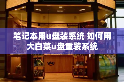 笔记本用u盘装系统 如何用大白菜u盘重装系统