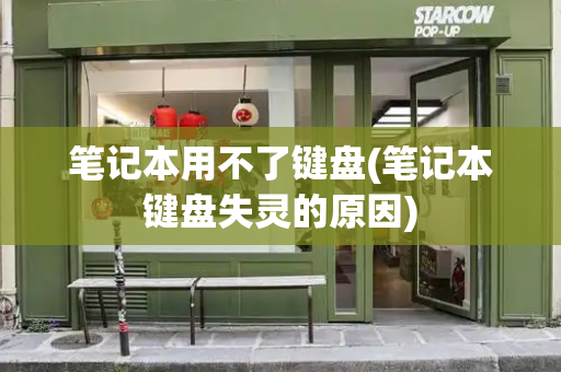 笔记本用不了键盘(笔记本键盘失灵的原因)-第1张图片-星选测评
