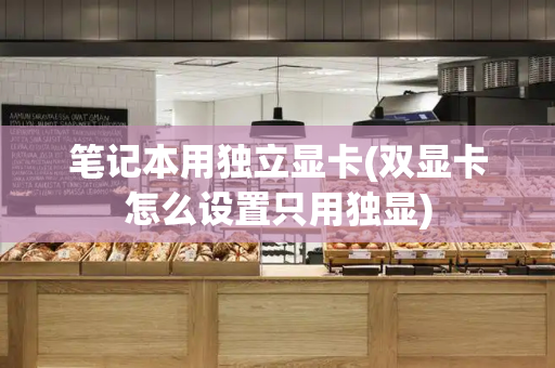 笔记本用独立显卡(双显卡怎么设置只用独显)