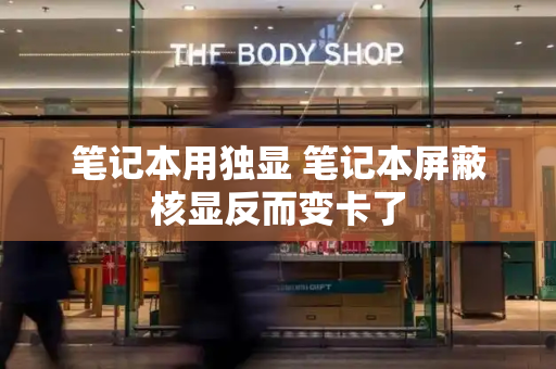 笔记本用独显 笔记本屏蔽核显反而变卡了