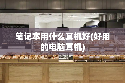 笔记本用什么耳机好(好用的电脑耳机)