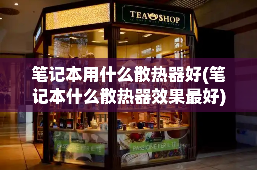 笔记本用什么散热器好(笔记本什么散热器效果最好)