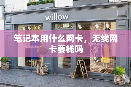 笔记本用什么网卡，无线网卡要钱吗