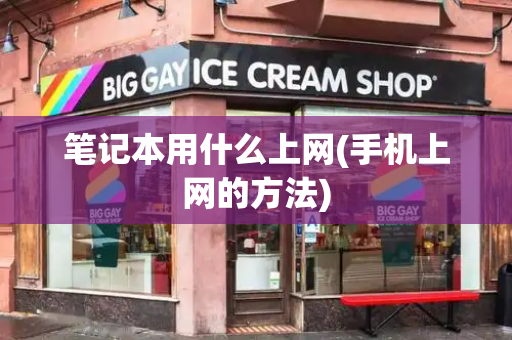笔记本用什么上网(手机上网的方法)