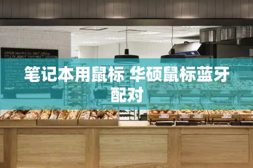 笔记本用鼠标 华硕鼠标蓝牙配对-第1张图片-星选测评