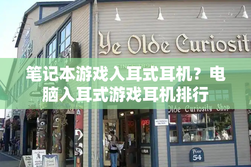 笔记本游戏入耳式耳机？电脑入耳式游戏耳机排行-第1张图片-星选测评
