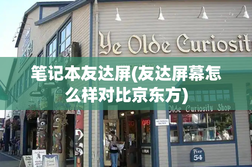 笔记本友达屏(友达屏幕怎么样对比京东方)