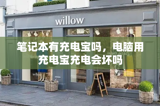 笔记本有充电宝吗，电脑用充电宝充电会坏吗-第1张图片-星选测评