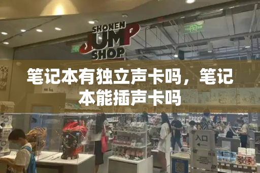 笔记本有独立声卡吗，笔记本能插声卡吗-第1张图片-星选测评