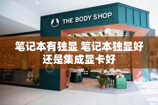 笔记本有独显 笔记本独显好还是集成显卡好-第1张图片-星选测评