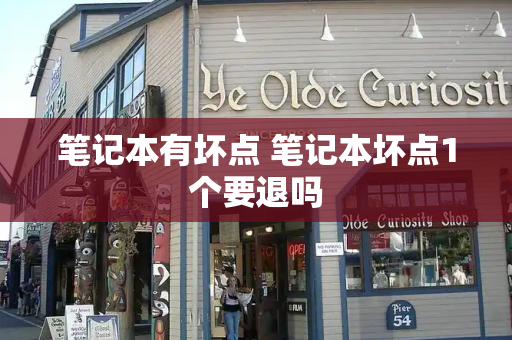 笔记本有坏点 笔记本坏点1个要退吗-第1张图片-星选测评