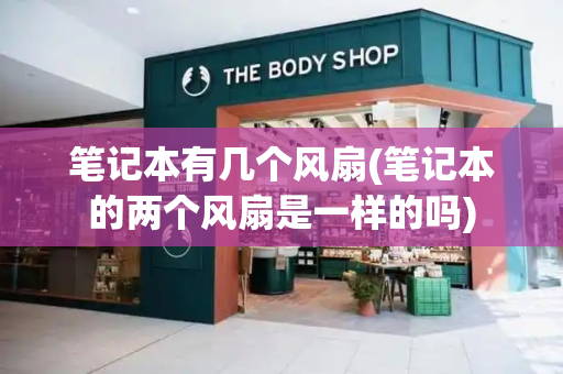 笔记本有几个风扇(笔记本的两个风扇是一样的吗)-第1张图片-星选测评