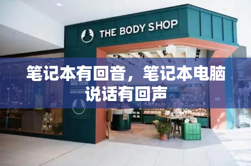 笔记本有回音，笔记本电脑说话有回声