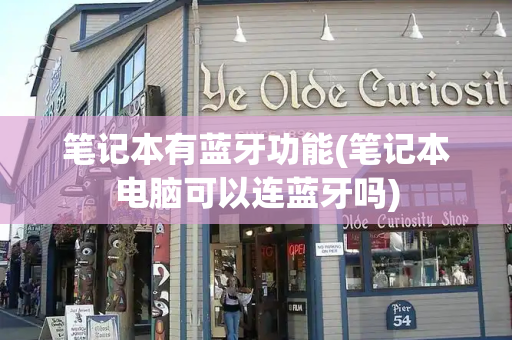 笔记本有蓝牙功能(笔记本电脑可以连蓝牙吗)-第1张图片-星选测评