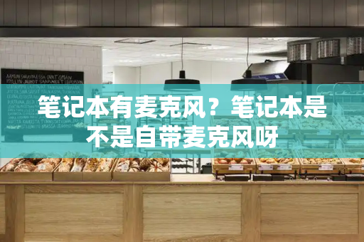 笔记本有麦克风？笔记本是不是自带麦克风呀