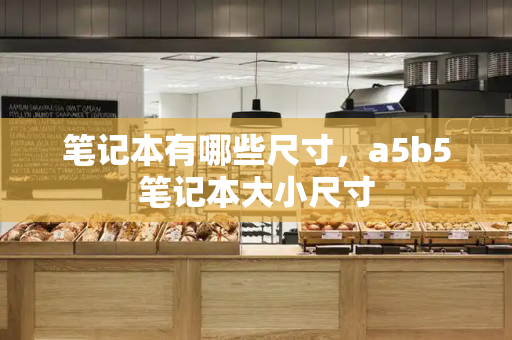 笔记本有哪些尺寸，a5b5笔记本大小尺寸-第1张图片-星选测评