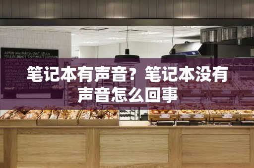笔记本有声音？笔记本没有声音怎么回事-第1张图片-星选测评