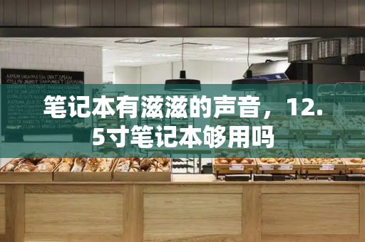 笔记本有滋滋的声音，12.5寸笔记本够用吗